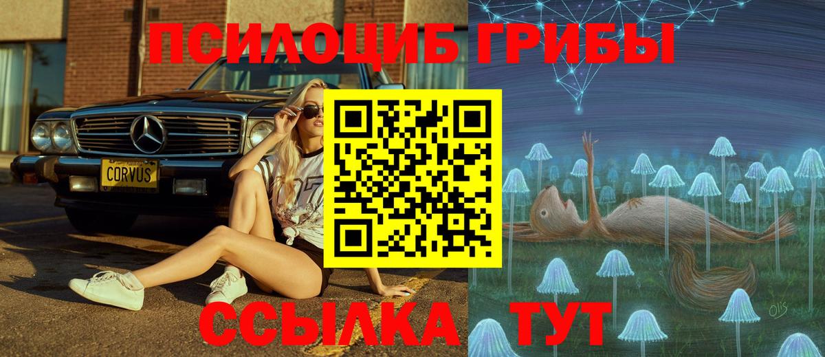 Галлюциногенные грибы мицелий  Вход с VPN  Междуреченск 